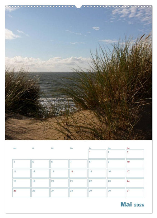 Sylter Dünen (CALVENDO Premium Wandkalender 2026)