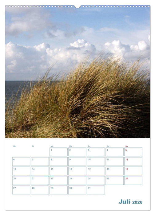 Sylter Dünen (CALVENDO Premium Wandkalender 2026)