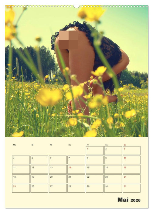 Das Runde im Eckigen / Planer (CALVENDO Premium Wandkalender 2026)