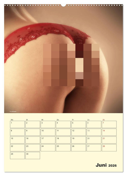 Das Runde im Eckigen / Planer (CALVENDO Premium Wandkalender 2026)