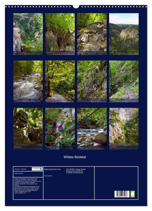 Wildes Bodetal (CALVENDO Wandkalender 2026)