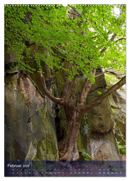 Wildes Bodetal (CALVENDO Wandkalender 2026)