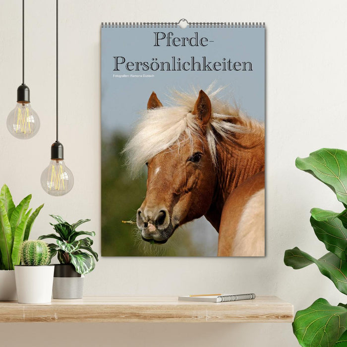 Pferde-Persönlichkeiten - ausdrucksstarke Gesichter verschiedener Pferderassen (CALVENDO Wandkalender 2026)
