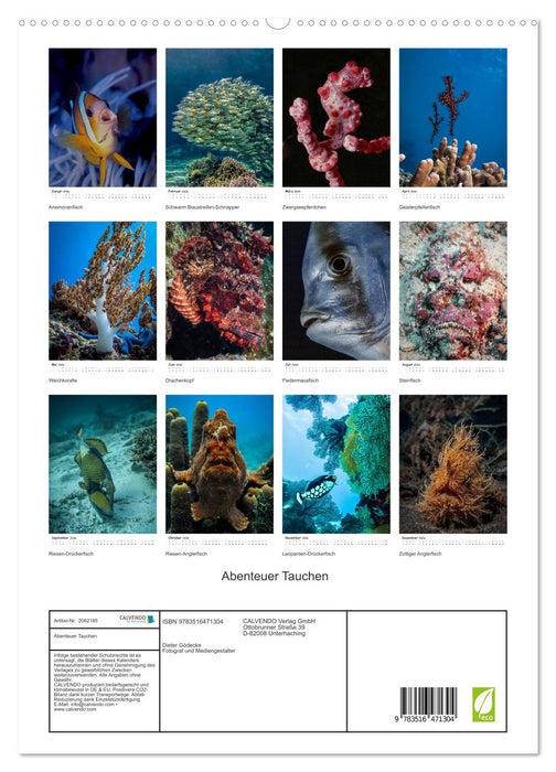 Abenteuer Tauchen (CALVENDO Premium Wandkalender 2026)