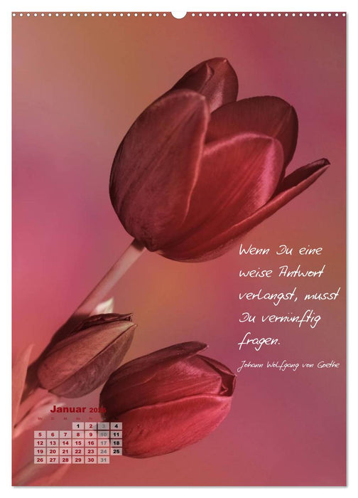 Blumen & Zitate (CALVENDO Wandkalender 2026)