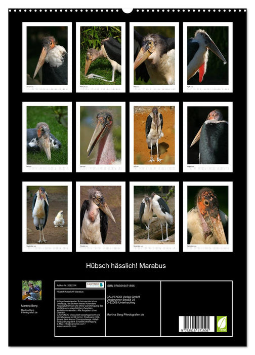 Hübsch hässlich! Marabus (CALVENDO Premium Wandkalender 2026)