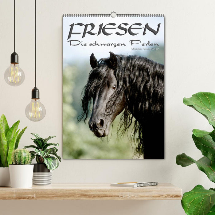 Friesen - die schwarzen Perlen (CALVENDO Wandkalender 2026)