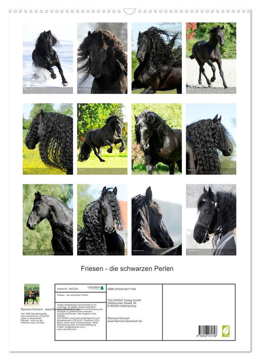 Friesen - die schwarzen Perlen (CALVENDO Wandkalender 2026)