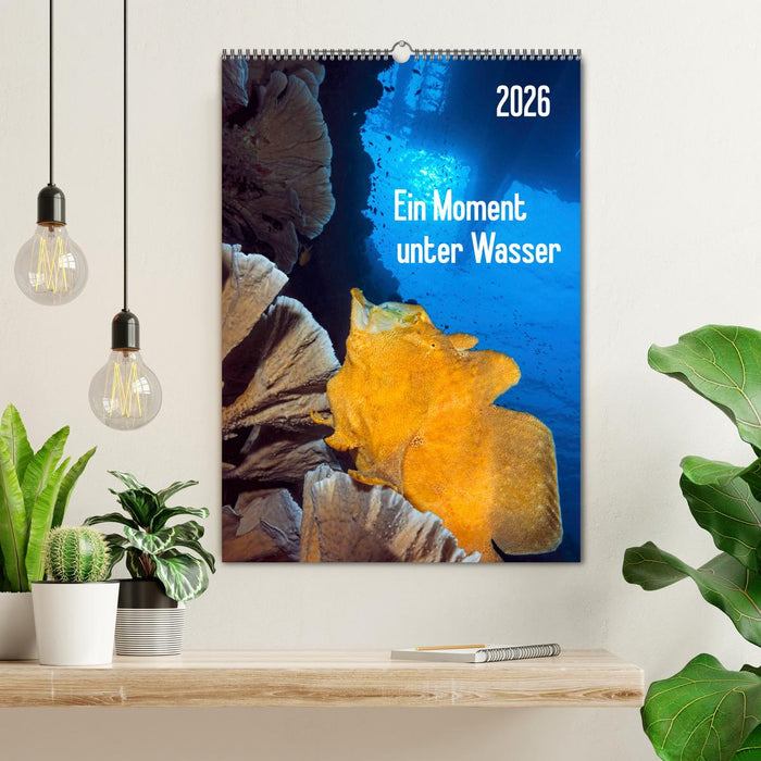 Ein Moment unter Wasser (CALVENDO Wandkalender 2026)