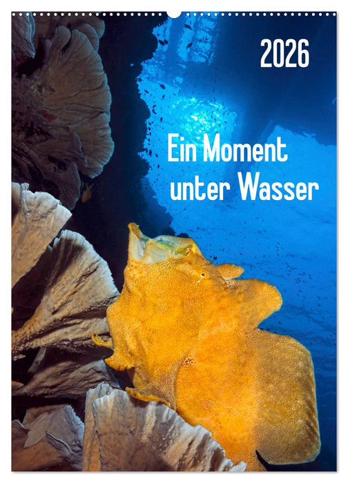 Ein Moment unter Wasser (CALVENDO Wandkalender 2026)