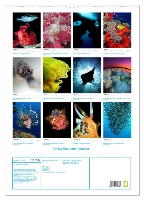 Ein Moment unter Wasser (CALVENDO Wandkalender 2026)