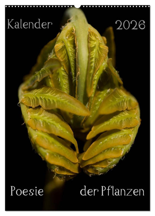 Poesie der Pflanzen (CALVENDO Wandkalender 2026)