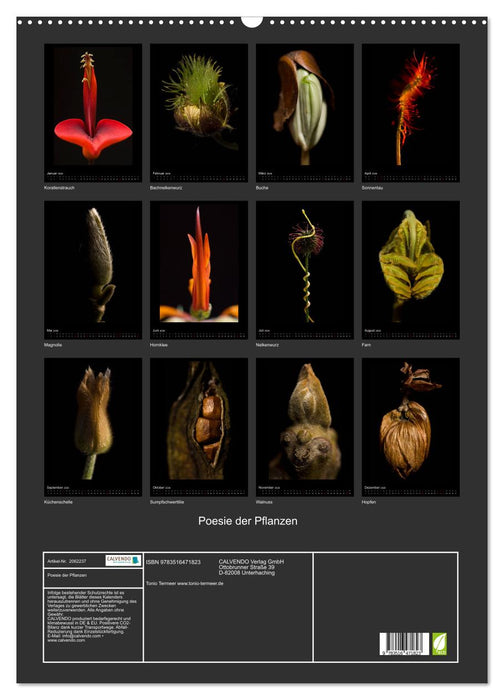 Poesie der Pflanzen (CALVENDO Wandkalender 2026)