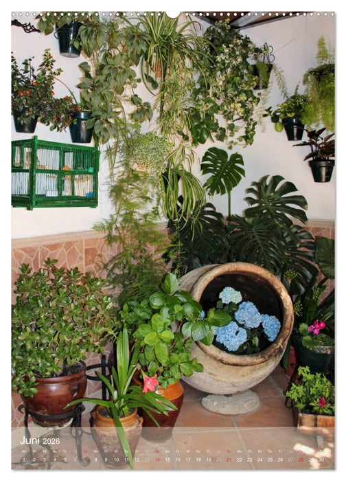 Andalusische Momente (CALVENDO Wandkalender 2026)