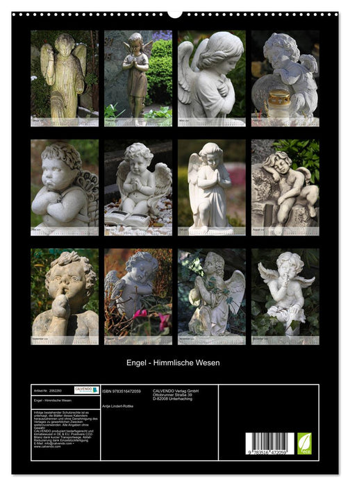 Engel - Himmlische Wesen (CALVENDO Premium Wandkalender 2026)