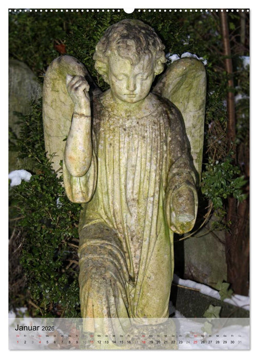 Engel - Himmlische Wesen (CALVENDO Premium Wandkalender 2026)
