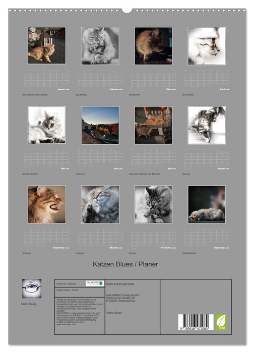 Katzen Blues / Planer (CALVENDO Premium Wandkalender 2026)
