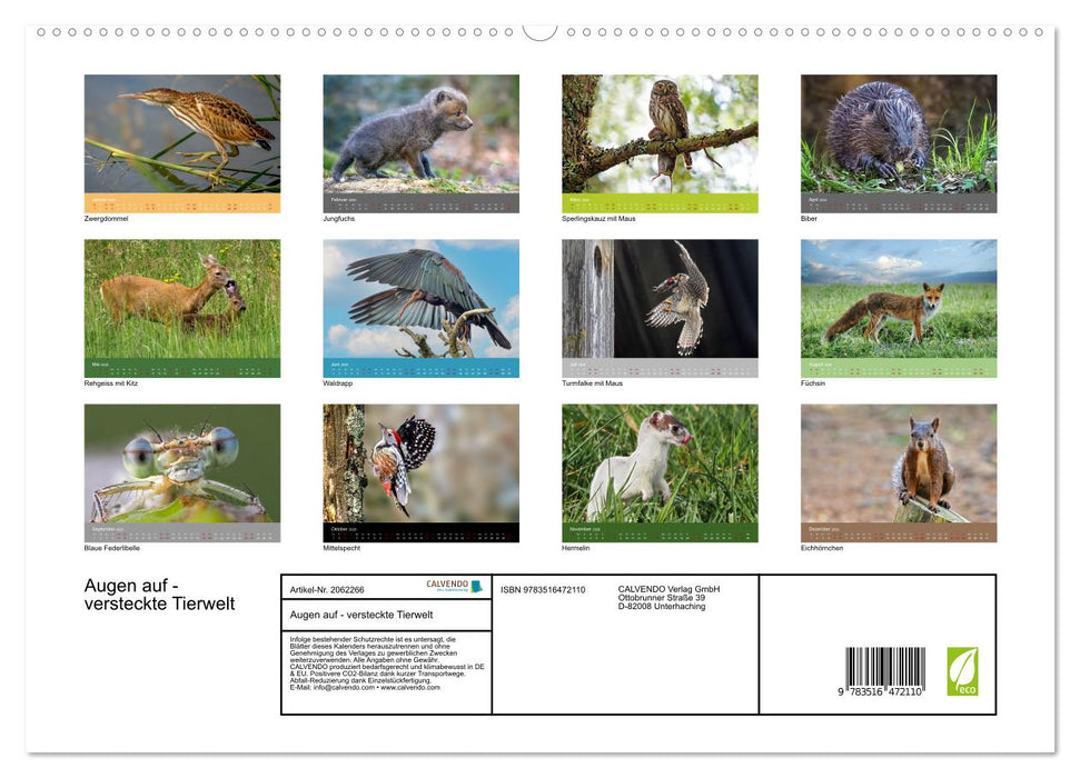 Augen auf - versteckte Tierwelt (CALVENDO Premium Wandkalender 2026)