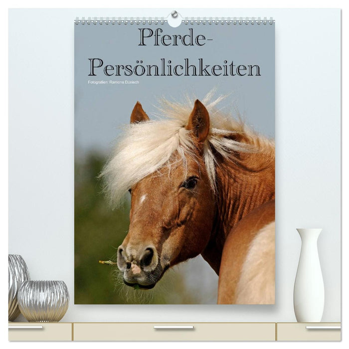 Pferde-Persönlichkeiten - ausdrucksstarke Gesichter verschiedener Pferderassen (CALVENDO Premium Wandkalender 2026)