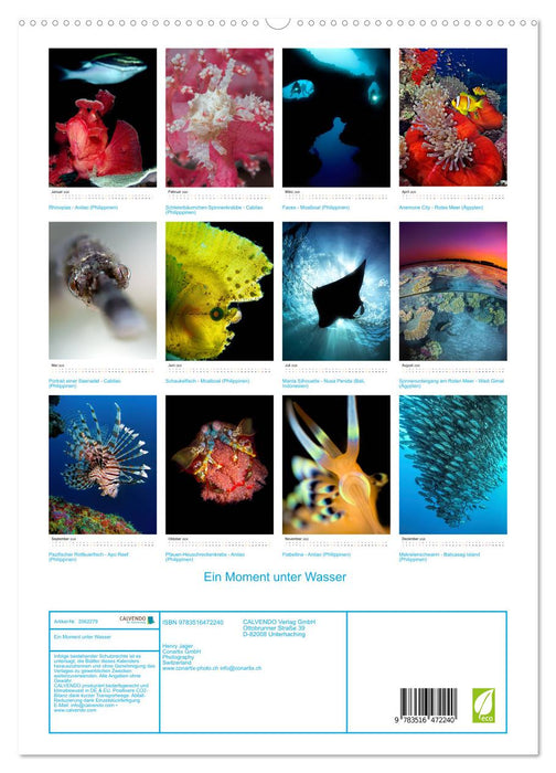 Ein Moment unter Wasser (CALVENDO Premium Wandkalender 2026)