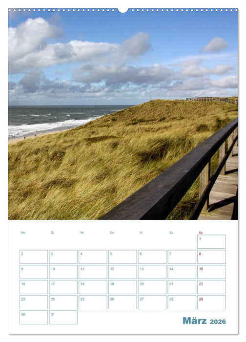 Sylter Dünen (CALVENDO Wandkalender 2026)