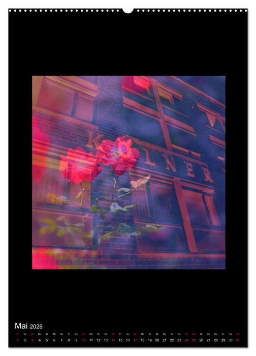 MEIN KÖLN Photos Marion Koell (CALVENDO Wandkalender 2026)