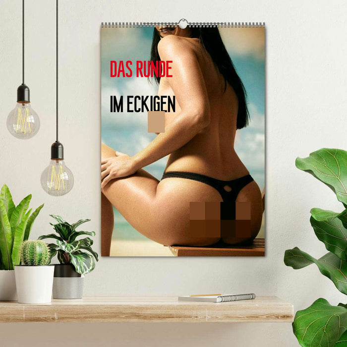 Das Runde im Eckigen / Planer (CALVENDO Wandkalender 2026)