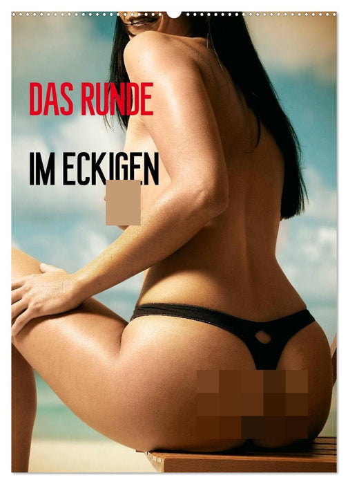 Das Runde im Eckigen / Planer (CALVENDO Wandkalender 2026)