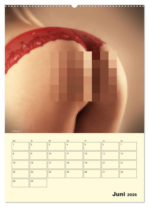 Das Runde im Eckigen / Planer (CALVENDO Wandkalender 2026)