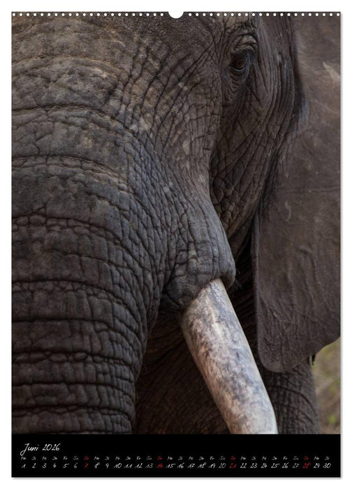 Südafrika - Sehenswerte Panorama Route (CALVENDO Premium Wandkalender 2026)