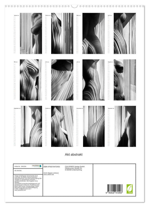 Akt abstrakt (CALVENDO Premium Wandkalender 2026)