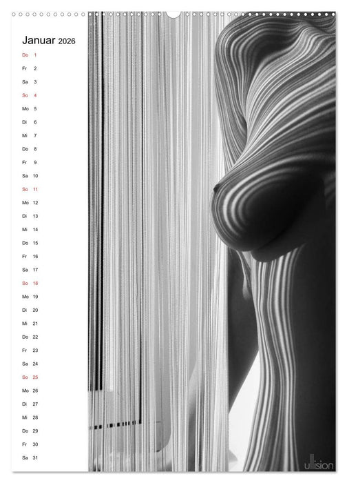 Akt abstrakt (CALVENDO Premium Wandkalender 2026)