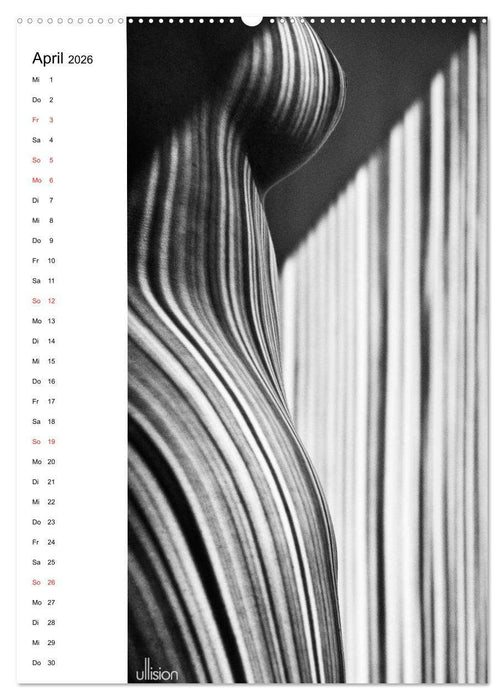 Akt abstrakt (CALVENDO Premium Wandkalender 2026)