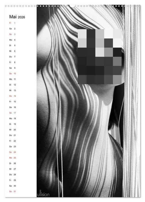 Akt abstrakt (CALVENDO Premium Wandkalender 2026)