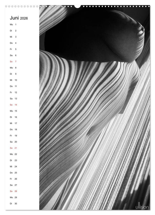 Akt abstrakt (CALVENDO Premium Wandkalender 2026)