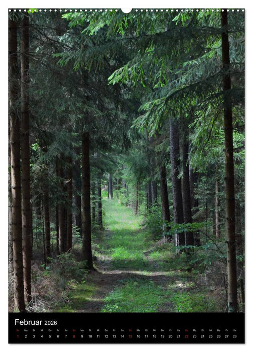 Wege 2026 (CALVENDO Premium Wandkalender 2026)