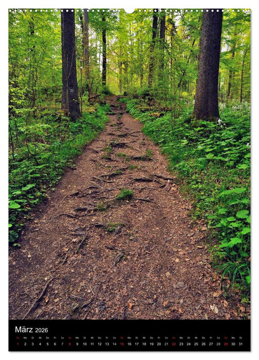 Wege 2026 (CALVENDO Premium Wandkalender 2026)