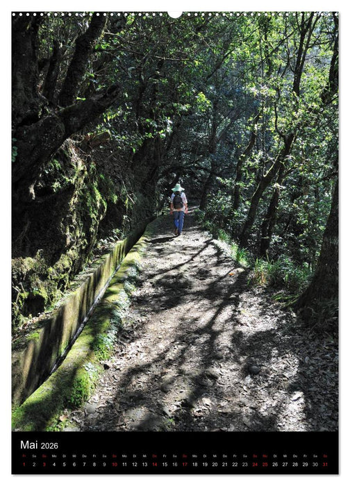 Wege 2026 (CALVENDO Premium Wandkalender 2026)