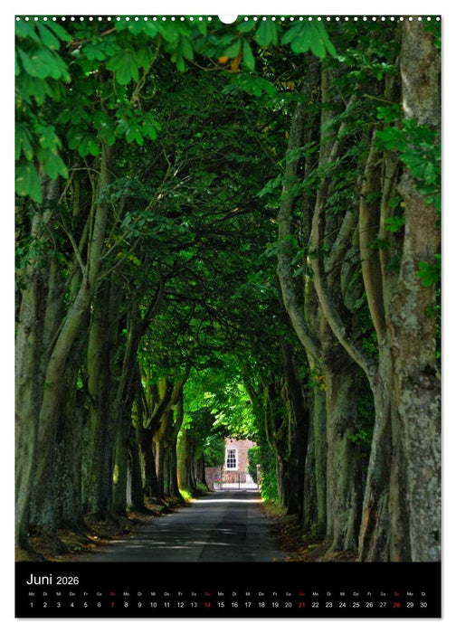 Wege 2026 (CALVENDO Premium Wandkalender 2026)
