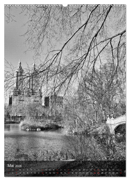 New York - The Big Apple (CALVENDO Premium Wandkalender 2026)