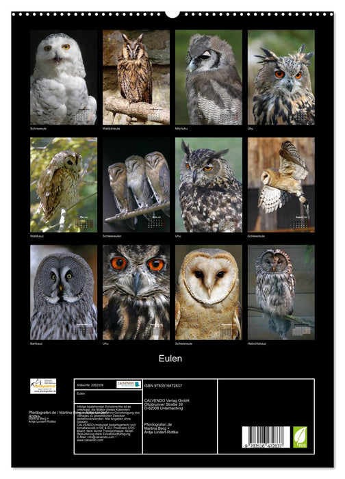 Eulen (CALVENDO Premium Wandkalender 2026)