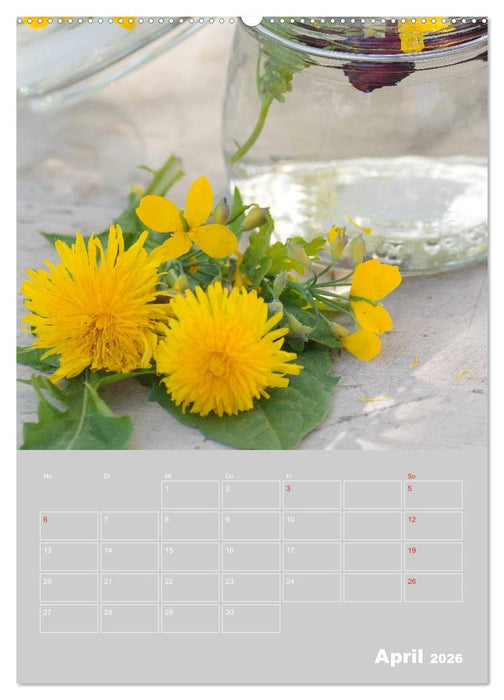 Landhaus-Art – Küchen Terminplaner / Planer (CALVENDO Wandkalender 2026)