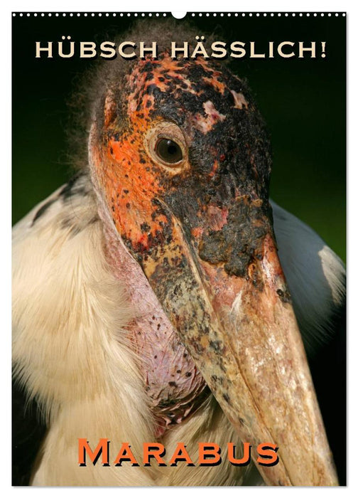 Hübsch hässlich! Marabus (CALVENDO Wandkalender 2026)