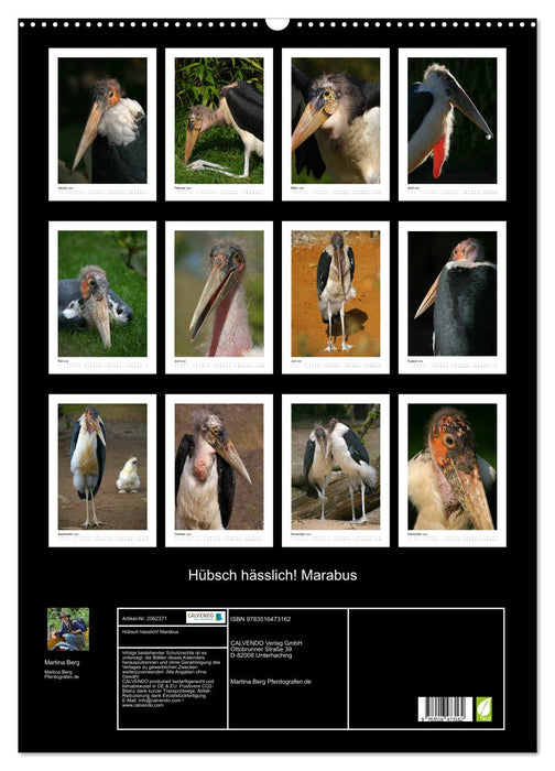 Hübsch hässlich! Marabus (CALVENDO Wandkalender 2026)
