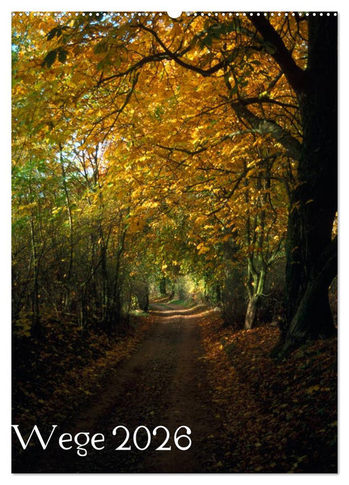 Wege 2026 (CALVENDO Wandkalender 2026)