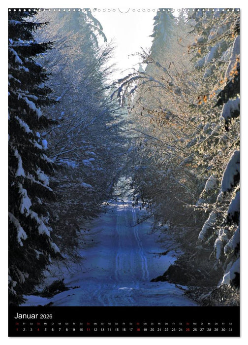 Wege 2026 (CALVENDO Wandkalender 2026)