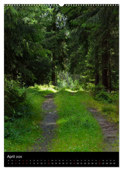 Wege 2026 (CALVENDO Wandkalender 2026)