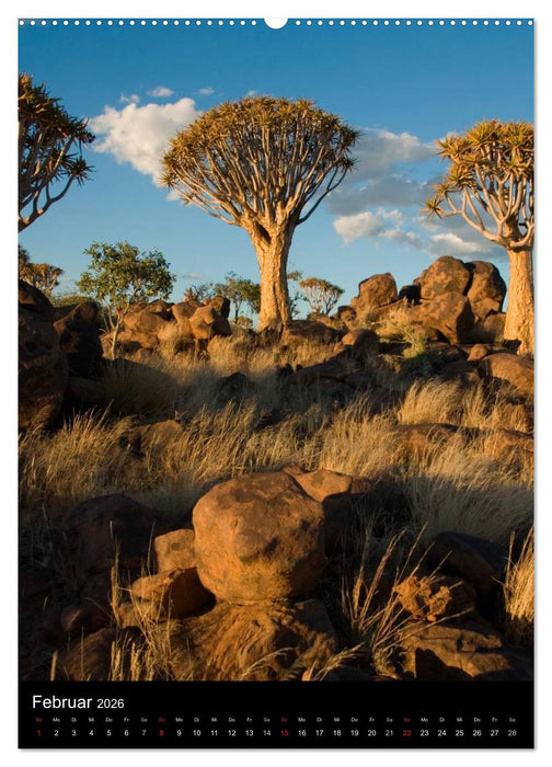 Faszination Namibia (CALVENDO Premium Wandkalender 2026)
