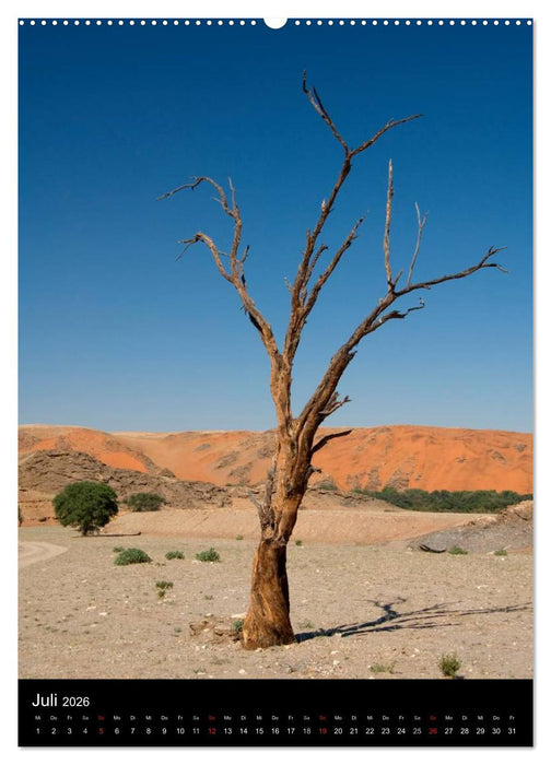 Faszination Namibia (CALVENDO Premium Wandkalender 2026)