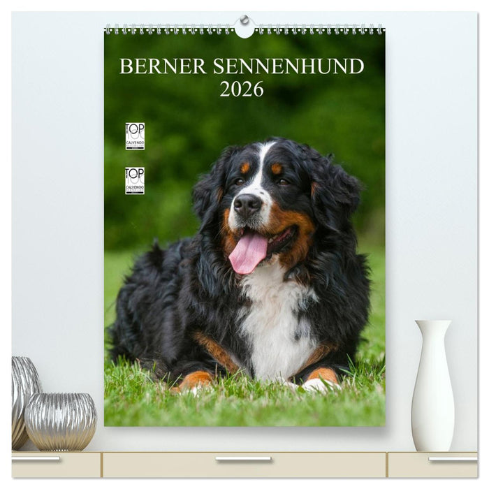 Berner Sennenhund 2026 (CALVENDO Premium Wandkalender 2026)